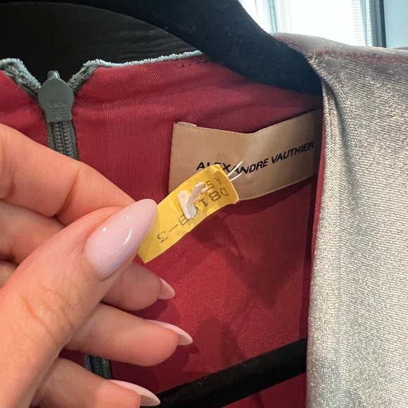 ALEXANDRE VAUTHIER Velvet Ruched Mini Dress - Picture 5 of 7